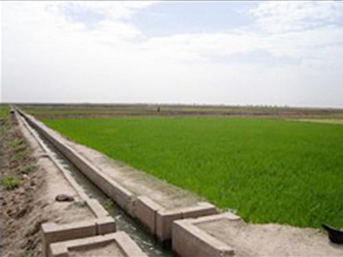 14/09/15    Le projet REAGIR permettra lirrigation de 19 000 hectares de terres arables au Mali